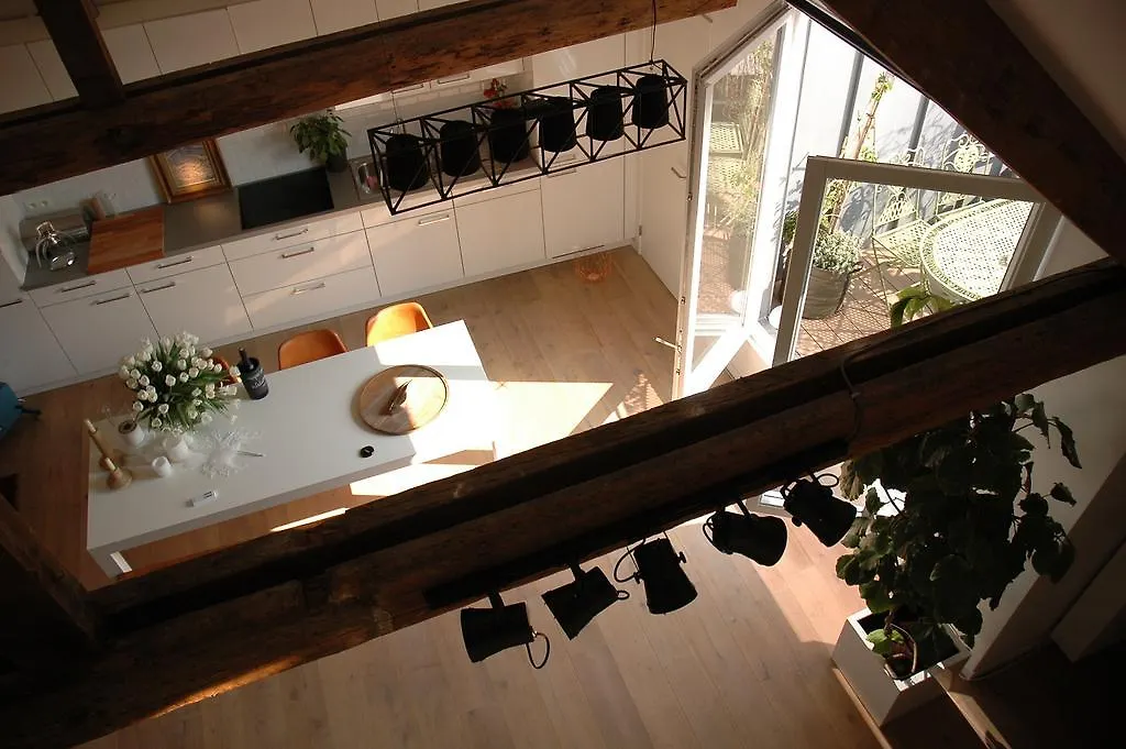 Tempor'Area Apartment Antwerp Belgium