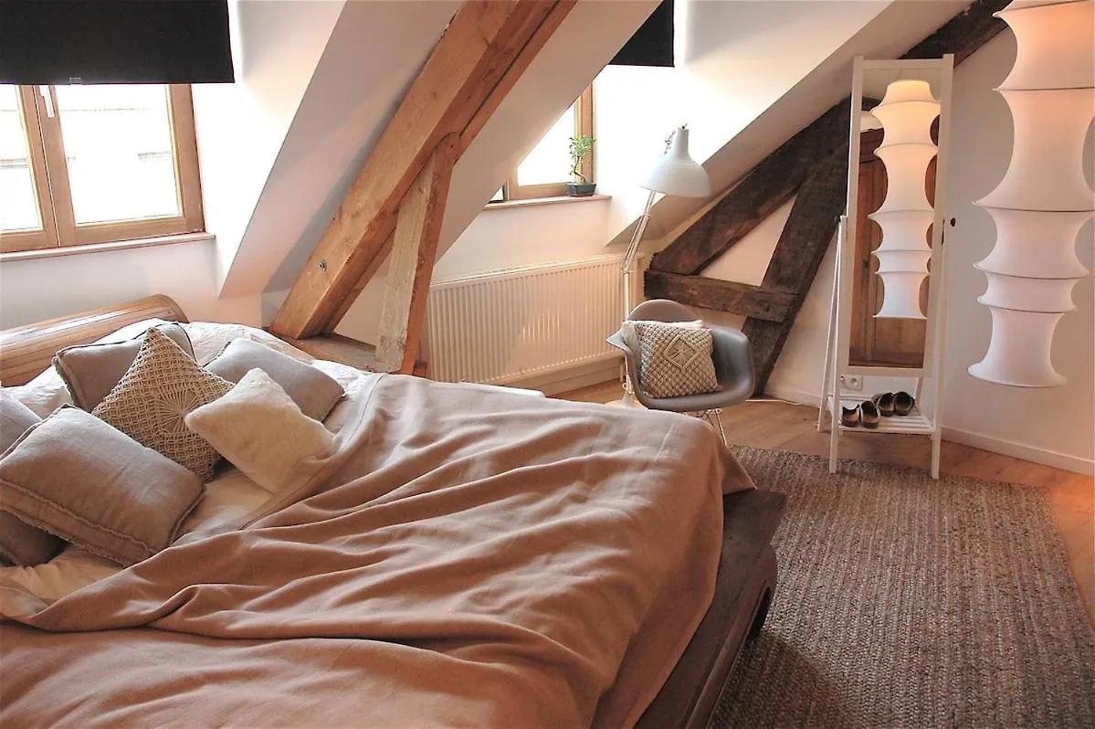 Tempor'Area Apartment Antwerp