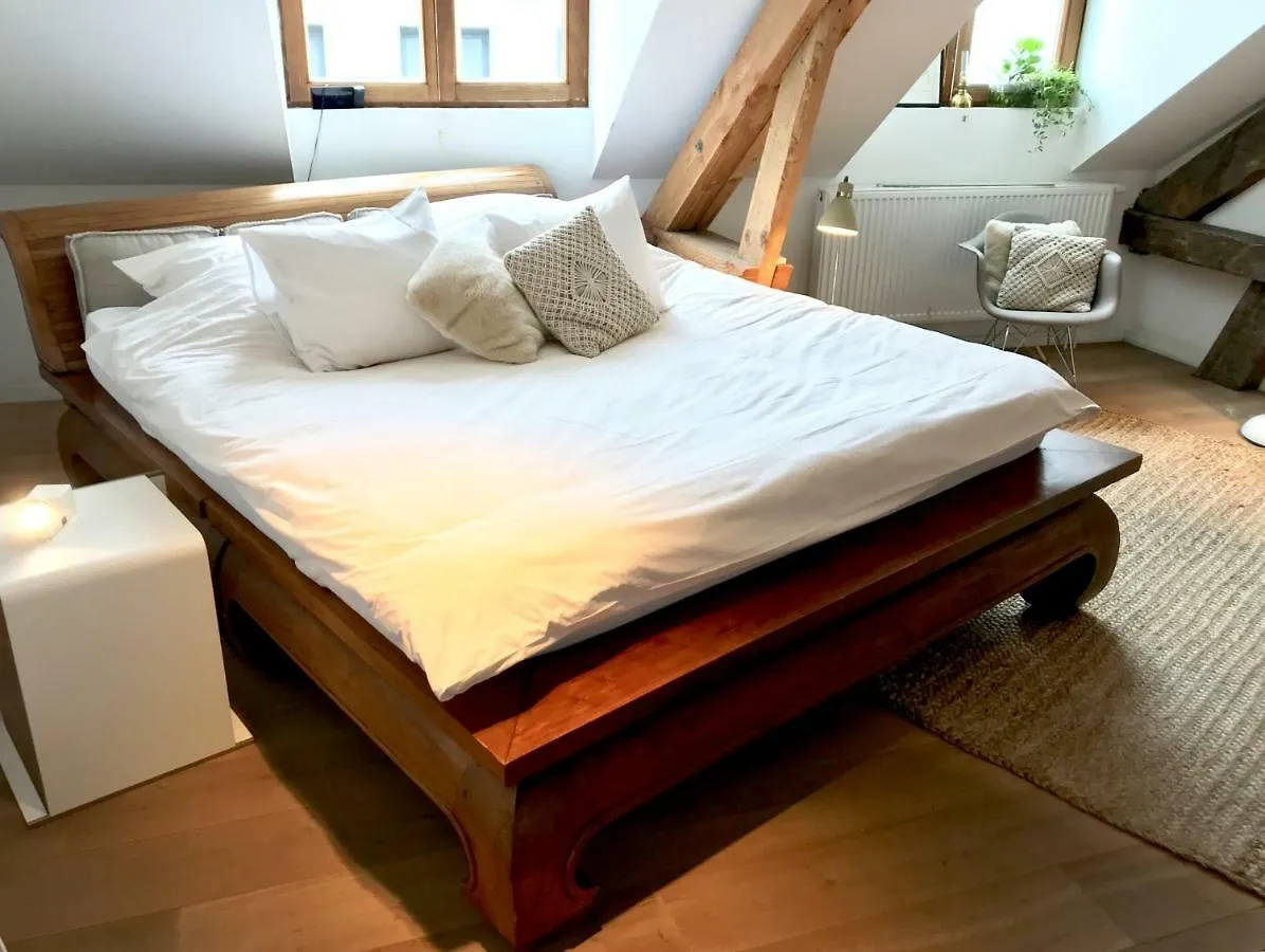 Tempor'Area Apartment Antwerp Belgium